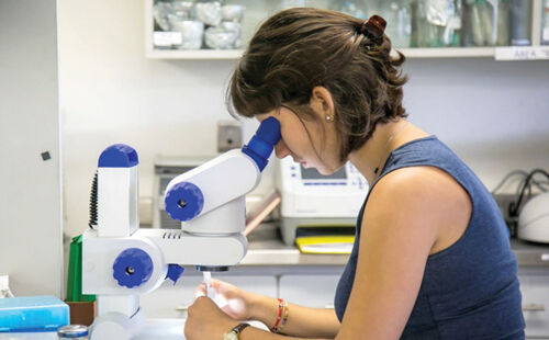 Oportunidades para invertir en proyectos de Investigación y Desarrollo Tecnológico