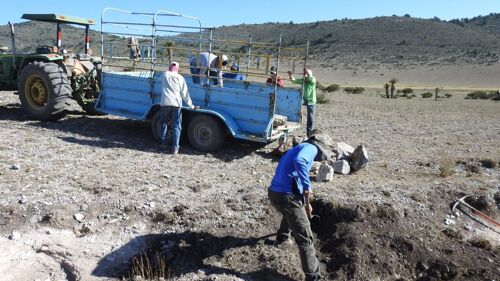 Invertirá Arca Continental y Coca Cola 5.1 mdp en proyecto hídrico en Durango
