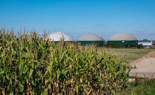 ¿Dónde queda el biogás en la reforma energética?