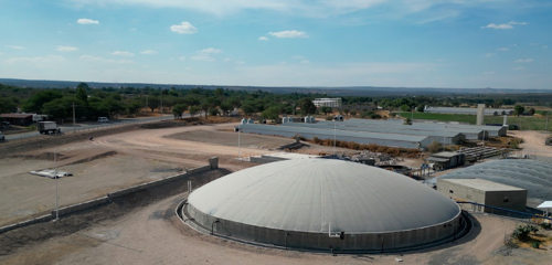 Bioetanol: una alternativa sostenible que México aún no aprovecha