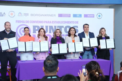 BorgWarner Ramos Arizpe es reconocida como Punto Violeta