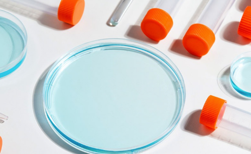 Cómo las máquinas de inyección de plástico están transformando la industria médica mexicana