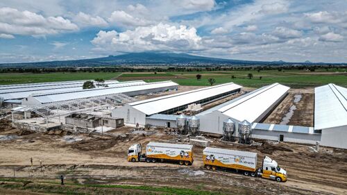 Inauguran planta avícola en Huamantla; producirá 2.3 millones de huevos diarios